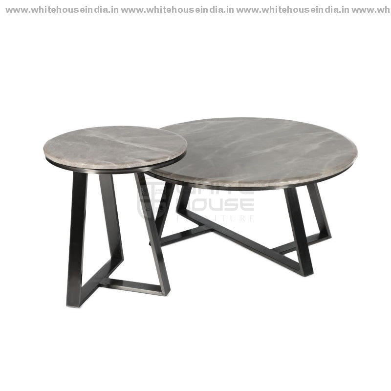 Ct-2105 Center Table Set B- 0.9M*0.9M S- 0.5M*0.5M / #000000 Stainless Steel Base With Artificial