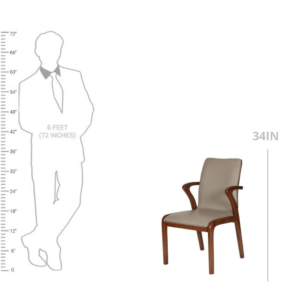 DC-301 DINING CHAIR